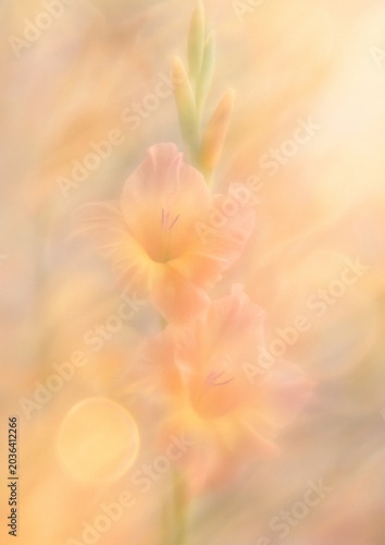 Dreamy floral pastel elegance