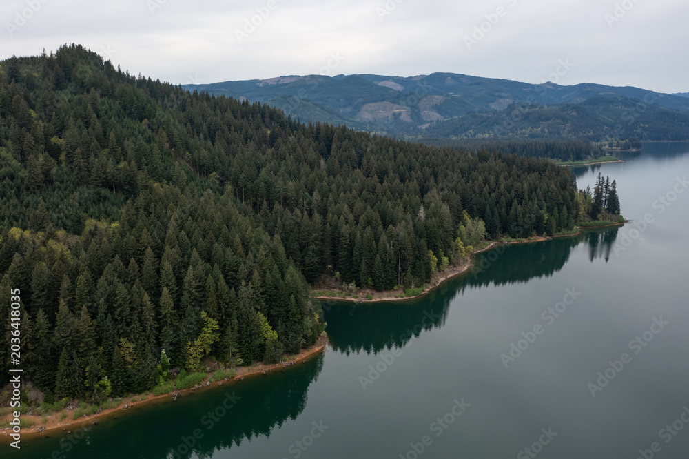 Fototapeta premium Aerial drone picture of Yale Lake surrounded by forest in Washington, USA. Calm water, scenic shoreline and Pacific Northwest landscape, ideal for nature background and outdoor scenes