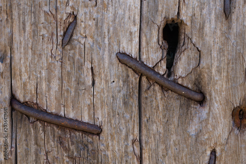 Weathered wooden surface with rusty nails and cracked texture