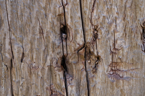 Decayed wooden surface with cracks and natural weathered texture