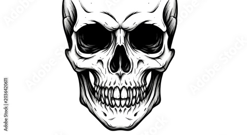 Photos Scary human skull illustration