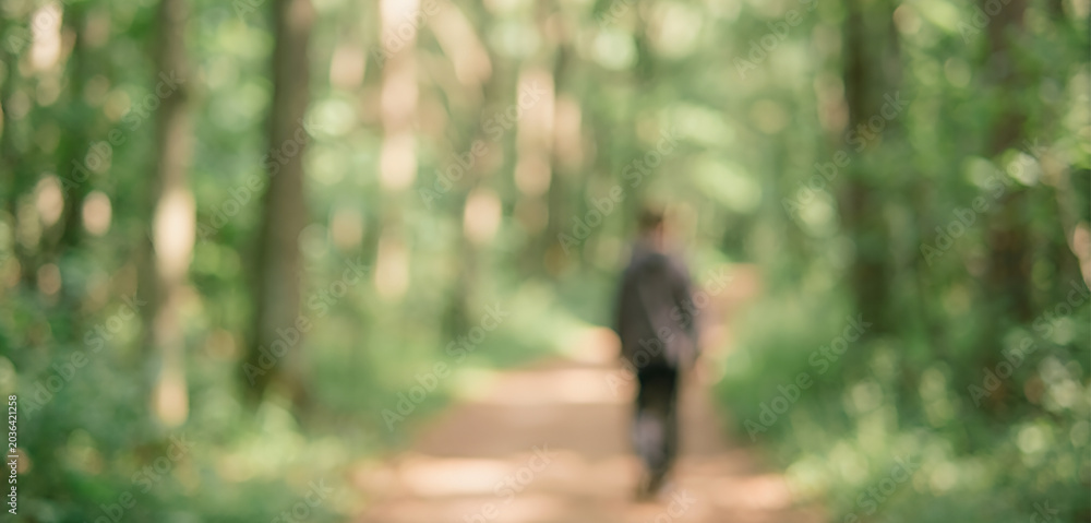 Fototapeta premium A blurred figure walking along a forest path surrounded by green trees, creating a serene and peaceful atmosphere in nature.