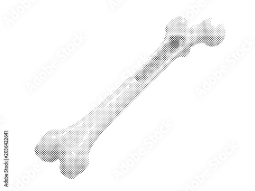 Konstfotografi Human Femur Bone 3D Render with Head Neck Shaft and Trabecular Texture in Ivory