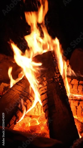 Burning wood in a fire pit.