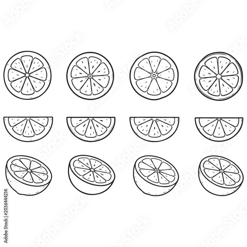 Citrus Fruit Slice Icon Set Minimal Black Outline Vector Collection