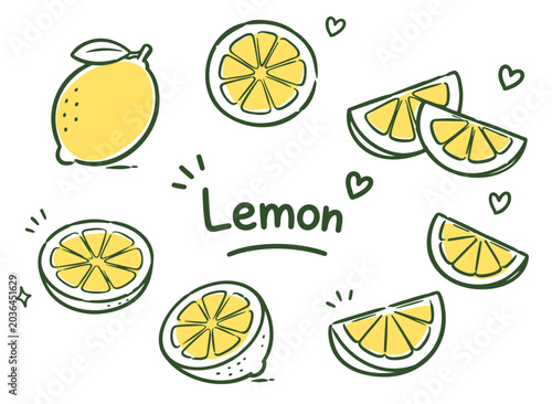 Hand drawn sketch style citrus. Lemon slices doodle set hand drawn vector illustration