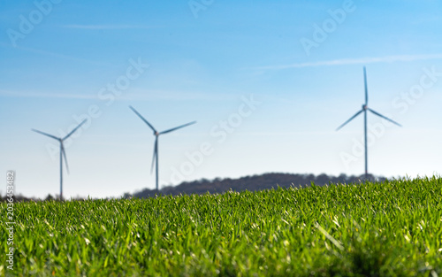 A vibrant agricultural scene featuring a field of young, bright green crops in sharp focus in the foreground. In the blurred background, three wind turbines stand on a distant hill under a clear blue 