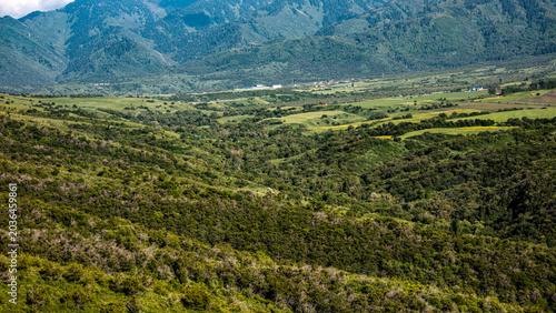green field and mountains in the background