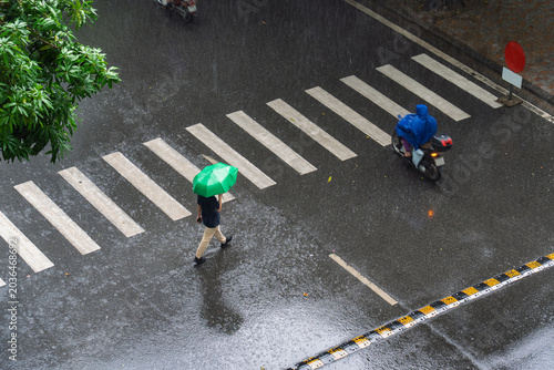 Fotografie Pedestrian carrying a green umbrella crosses a wet zebra crossing during heavy rain on an urban street in Hanoi