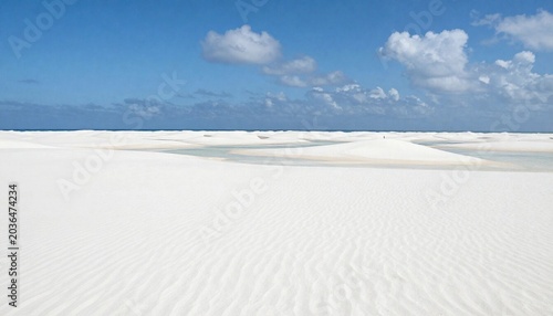 sand dunes on the beach