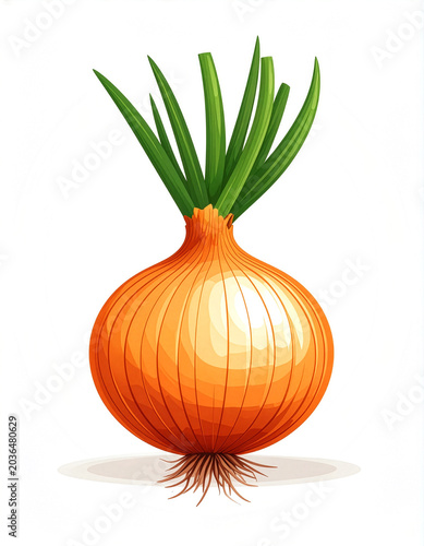 Cebula ilustracja