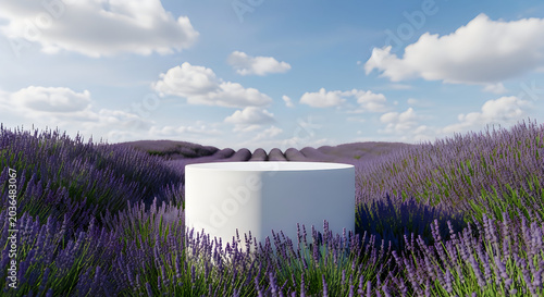 White product display podium in a blooming lavender field under a blue sky.