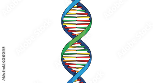 Colorful DNA double helix structure illustration on white background