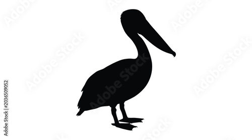 Photos pelican silhouette against a white background detailed bird shape silhouette
