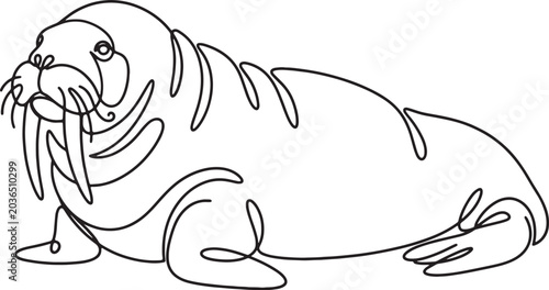 Bild auf Leinwand line drawing of a walrus with tusks and whiskers