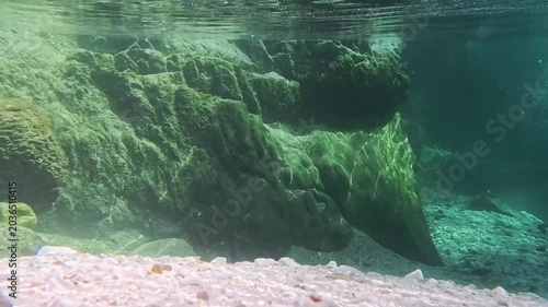 In the woods, immersed in nature. Above and below the water. Pristine nature and crystal-clear waters. Torre Torre in Friuli.