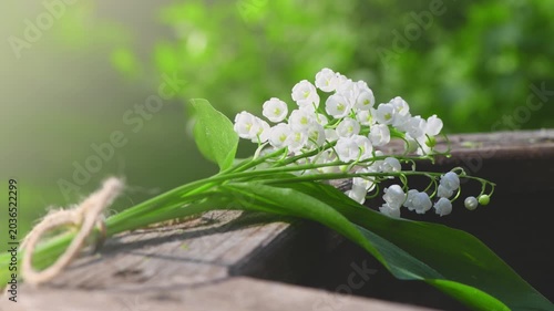 Lily of the valley bouquet tied with twine sitting on a rustic wooden railing, with a soft green nature background evoking feelings of spring, freshness, and delicate beauty