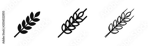 Cuadro en lienzo Wheat ear icon set in solid, outline, and hand-drawn sketch styles representing grain, agriculture, and harvest