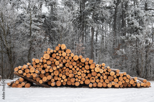 Baumstämme Stapel in winterlichem Wald