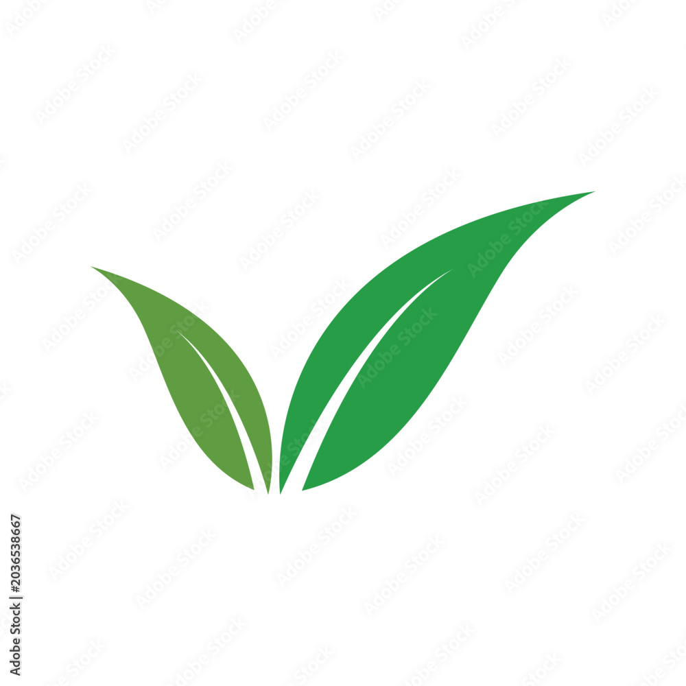 Fototapeta premium ecology beautiful green leaves spring