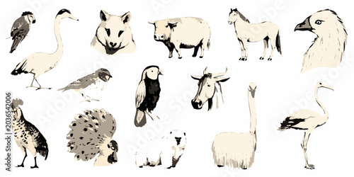 Bild auf Leinwand Collection Of Vintage style Animal Illustrations On White Background