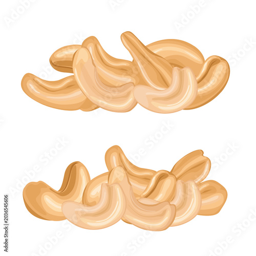 Set Cashew Nuts Organic Healthy Snack Collection