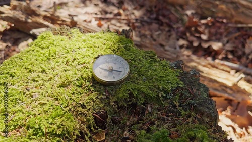 A compass rests on a lush patch of moss in a serene forest. Soft sunlight filters through the trees, casting delicate shadows. Leaves crunch underfoot, adding to the peaceful ambiance