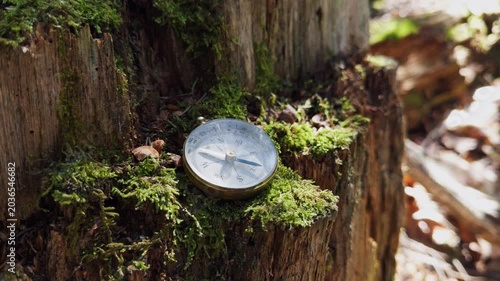 A compass rests on a moss-covered tree stump, surrounded by vibrant greenery. Sunlight filters through leaves, creating a serene atmosphere perfect for exploration and adventure
