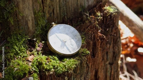 A rustic compass rests on a mossy tree stump in a tranquil forest. Sunlight filters through leaves, highlighting the beauty of nature and exploring this serene outdoor setting