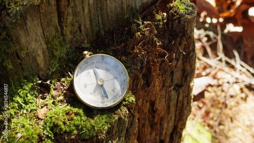 A shiny compass lies on a moss-covered tree stump in a dense forest. Sunlight filters through the trees, creating a serene atmosphere perfect for adventure and exploration in nature