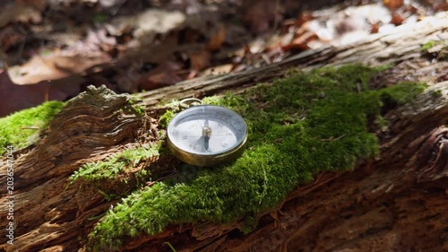 A vintage compass lies on a moss-covered log in a tranquil forest. Sunlight filters through the trees, illuminating the vibrant greens and creating a peaceful atmosphere for exploration