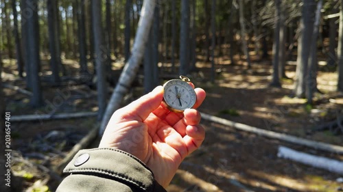 A hand holds a vintage pocket watch against a backdrop of tall trees and soft sunlight. Nature's calm surrounds as time ticks away in this peaceful woodland treasure