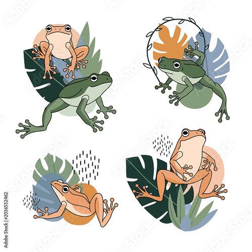 Tableau sur toile Colorful illustration of frogs sitting.