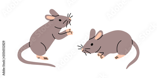 Vector set of two cute brown rats or mice in different poses. Simple rodent mouse illustration collection for hantavirus warning design, medical infographic, education poster and pest control concept.