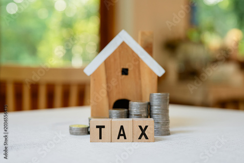 Concepts of saving and investing. Investing in houses and land. Growth of the real estate business. House and land taxes. Banks and home loans.