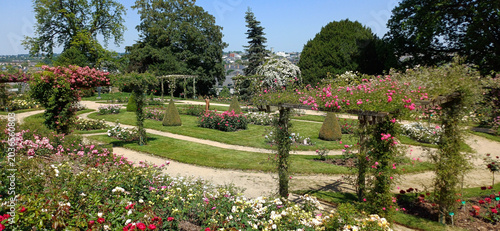 Roseraie du jardin de la Perrine à Laval