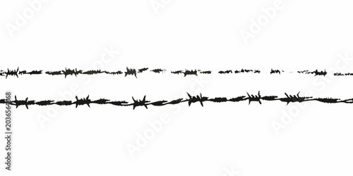 Foto Barbed Wire Strands Black Silhouette On White Background