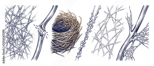 Quadro em tela Microscopic fiber types illustration showing synthetic polymer structures, fract