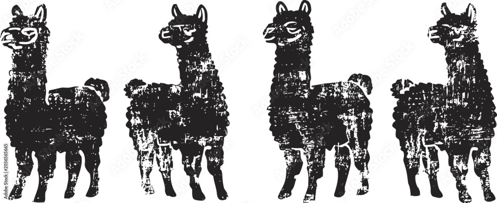 Fototapeta premium four black llama silhouettes in a row simple animal icons, side view alpacas with fluffy wool