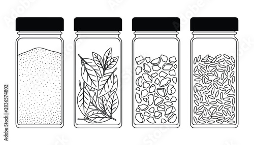 Four transparent vector glass jars filled with spices herbs seeds and gravel for design.