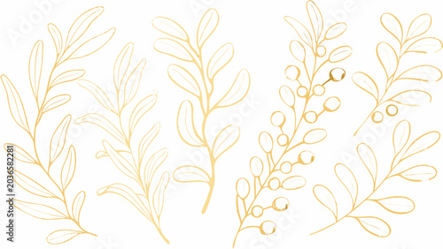Golden botanical line art illustration featuring leafy branches and small circular fruits on a white background lines floral ornament plant foliage