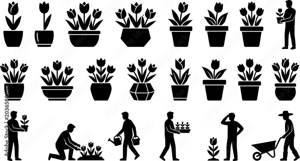 Fototapeta premium Collection of potted tulips and garden plants with various pots and people gardening watering and carrying plants isolated on transparent background.