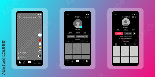 Canvastavla Tik Tok mobile App interface template