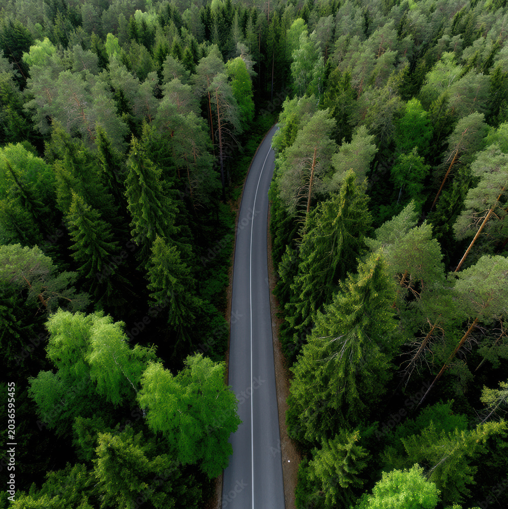 Fototapeta premium Aerial forest road green tree nature landscape summer travel scenic peaceful wilderness outdoor tranquil environment lush foliage countryside
