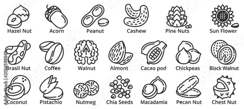Bild auf Leinwand Set of Nut and Seed Line Icons