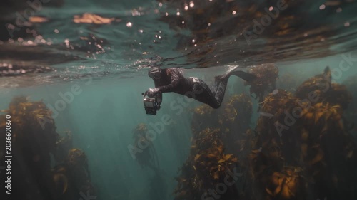 Freediver swimming through a submerged shipwreck surrounded by tall kelp forest, exploring underwater structures and drifting marine vegetation in a dramatic ocean environment.