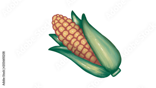 PNG transparent image of hand-painted style corn