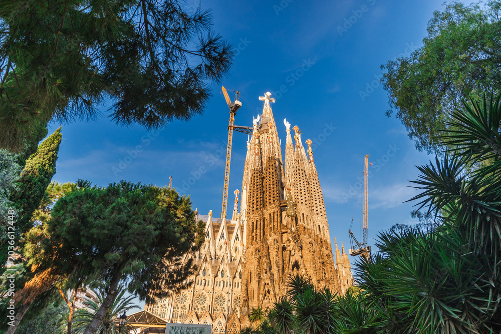 Naklejka premium Sagrada Familia cathedral surrounded by tropical trees under dramatic dark blue morning sky in Barcelona