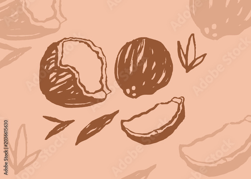 Obraz na płótnie coconut