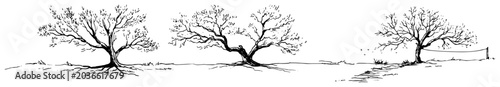Fotografie Three solitary trees in wide landscape in hand drawn ink sketch style